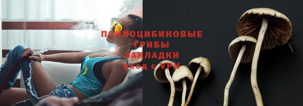 PSILOCYBIN Белоозёрский