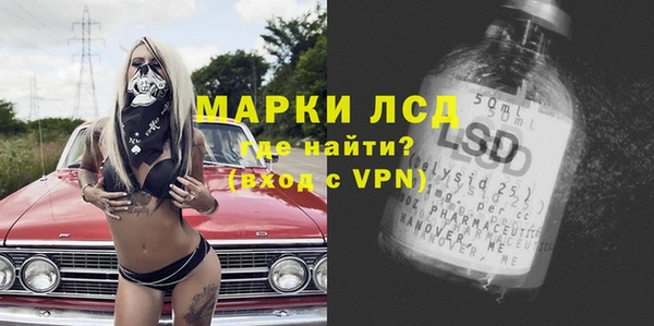 мескалин Болотное