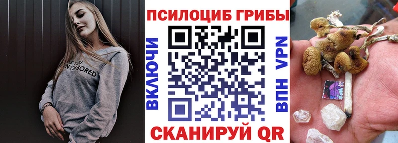 Псилоцибиновые грибы Cubensis  купить  цена  Бодайбо 