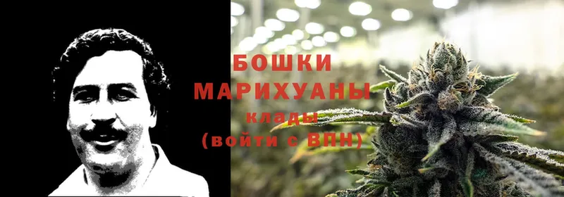 Марихуана Bruce Banner  Бодайбо 